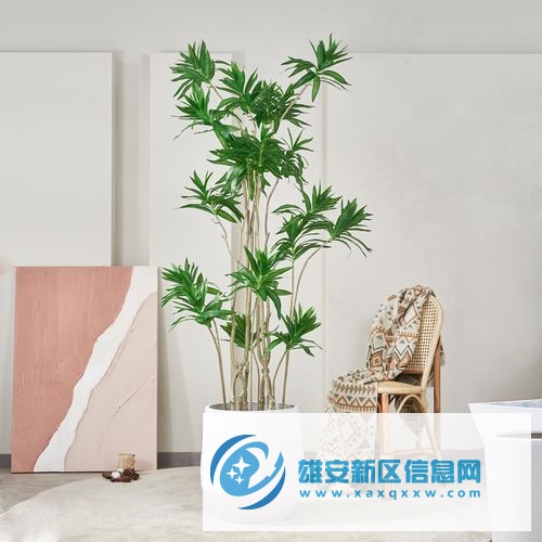 北京花卉销售公司